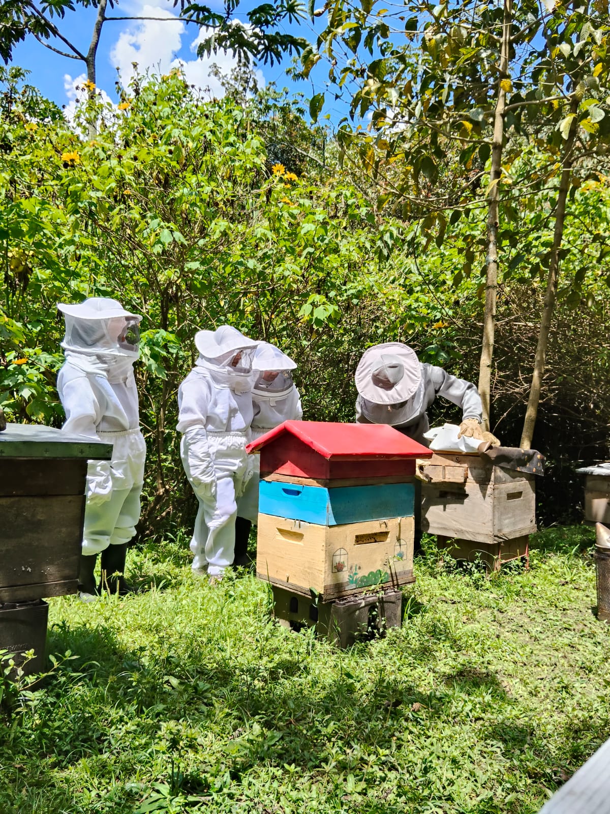 Experiencia La Abeja Mochilera 1