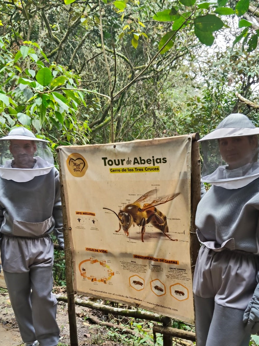 Experiencia La Abeja Mochilera 5
