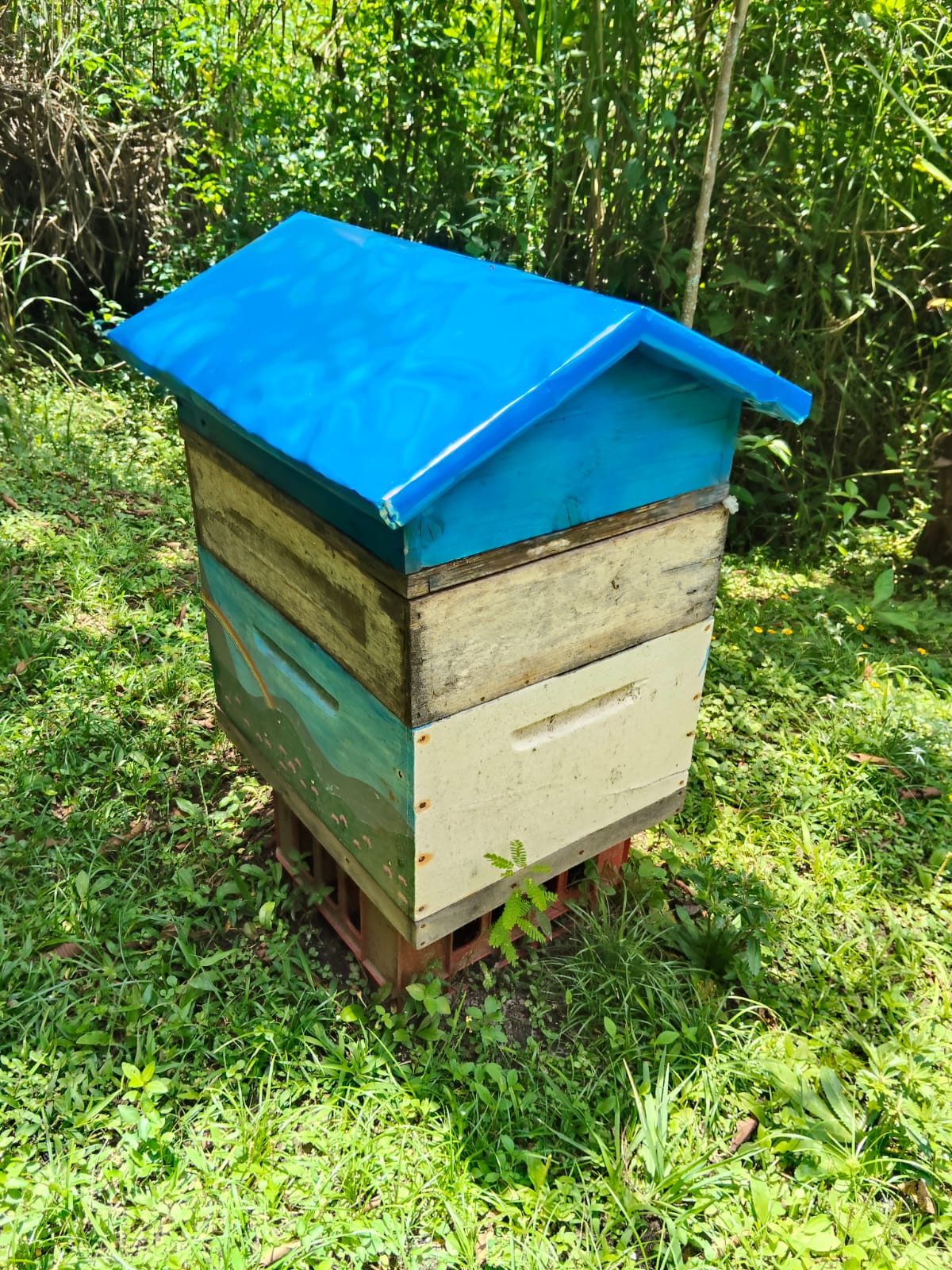 Experiencia La Abeja Mochilera ColmenaProtectora