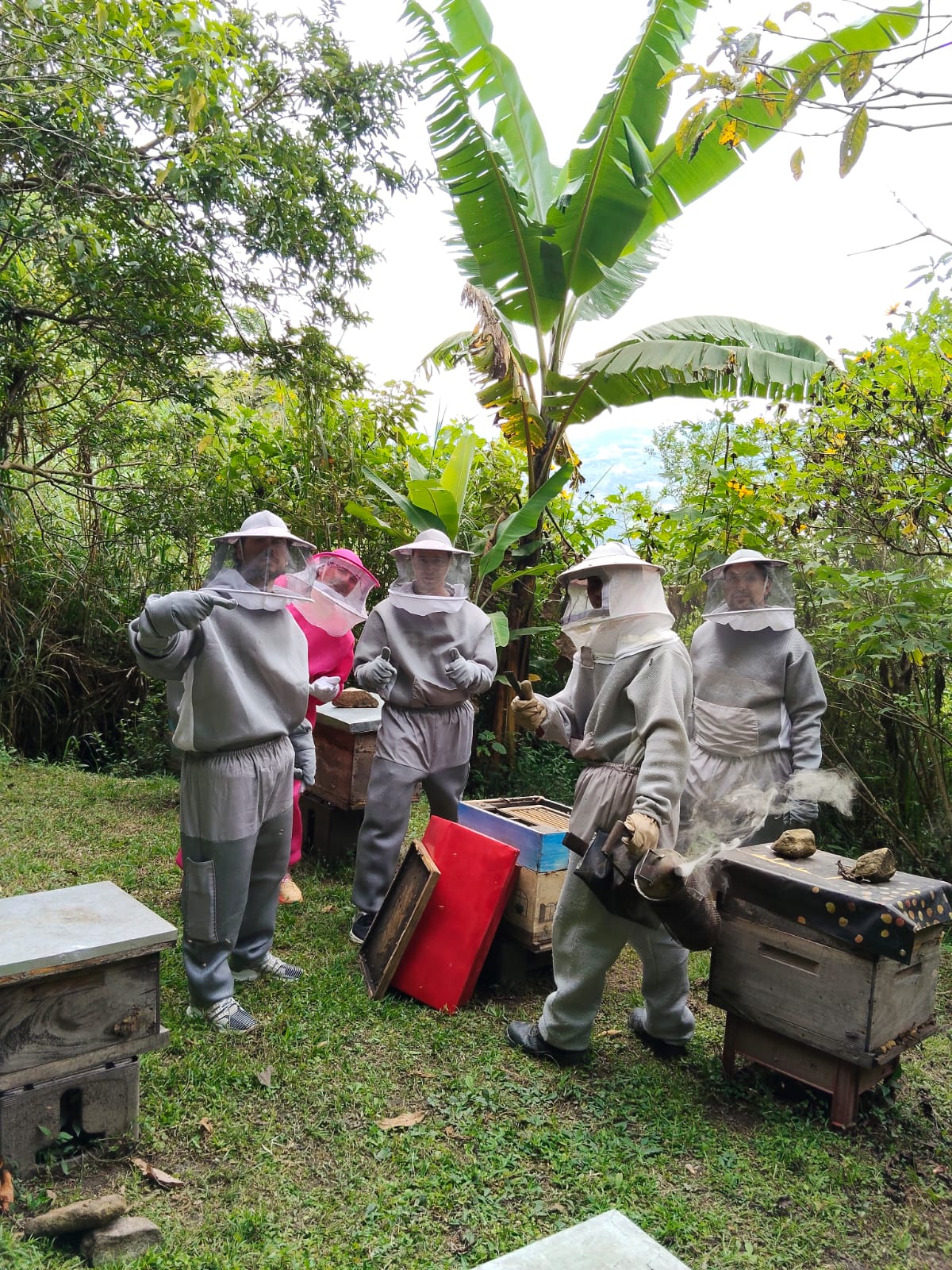 Experiencia La Abeja Mochilera e2