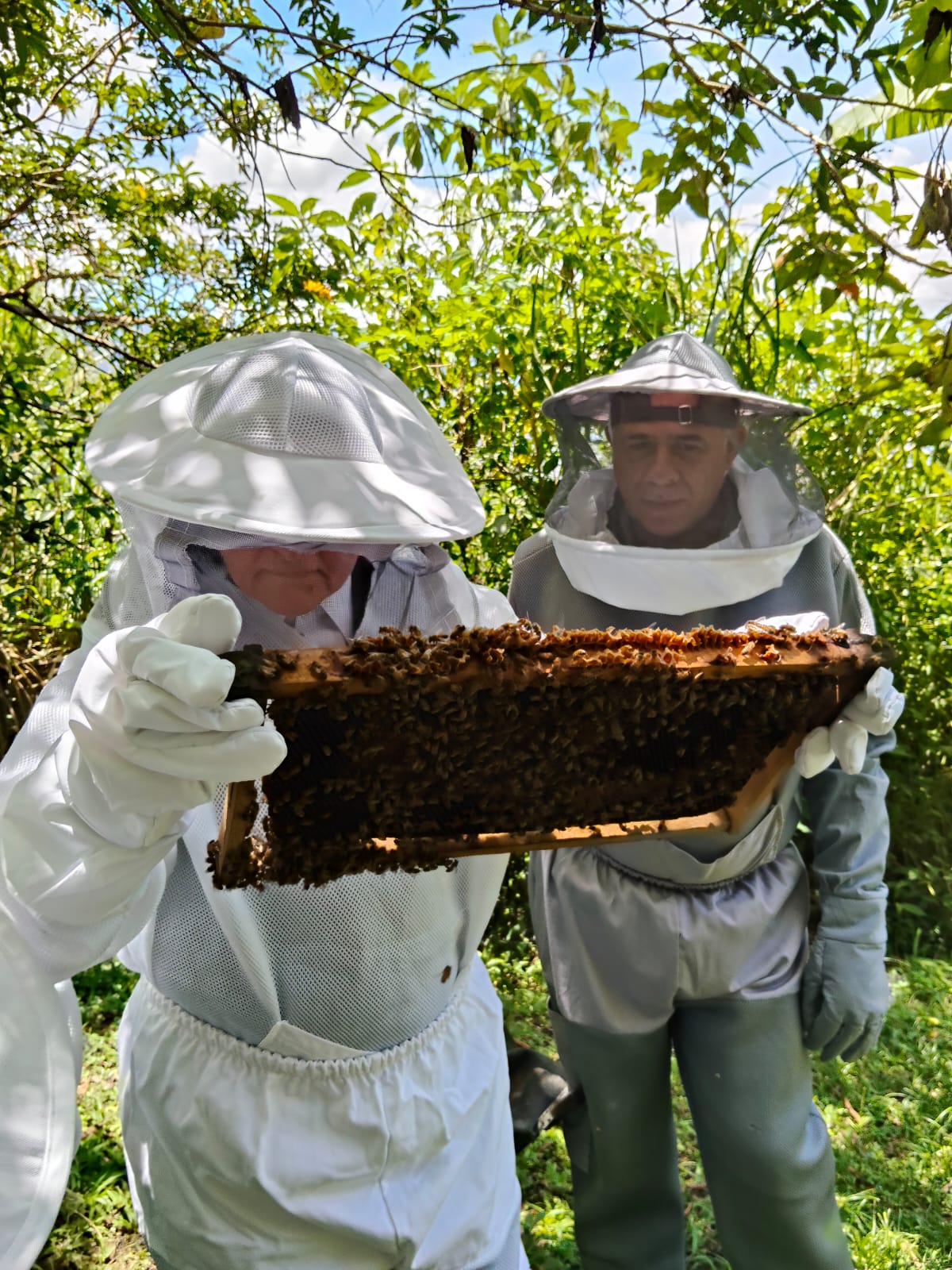 Experiencia La Abeja Mochilera e4