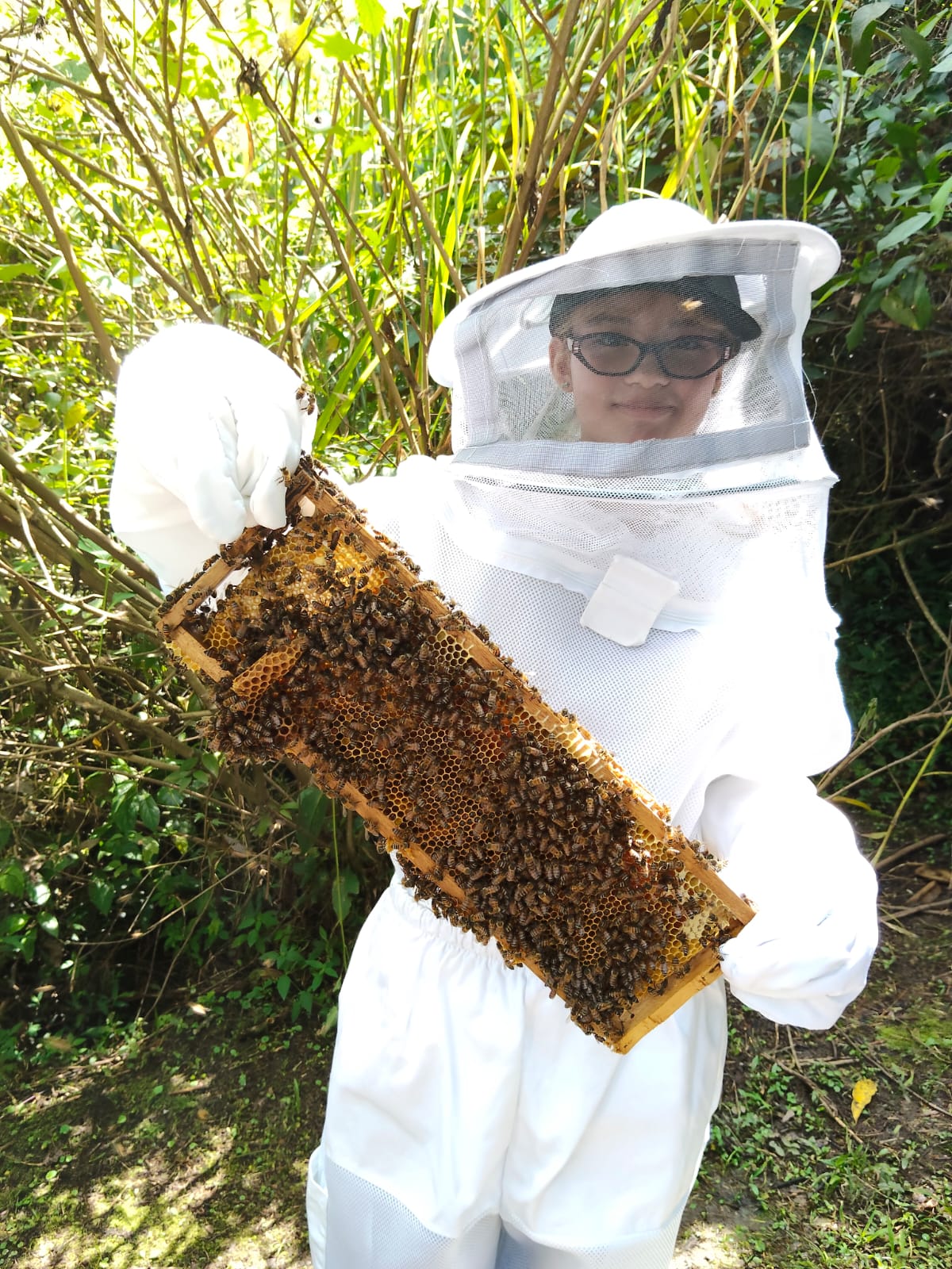 Experiencia La Abeja Mochilera p3
