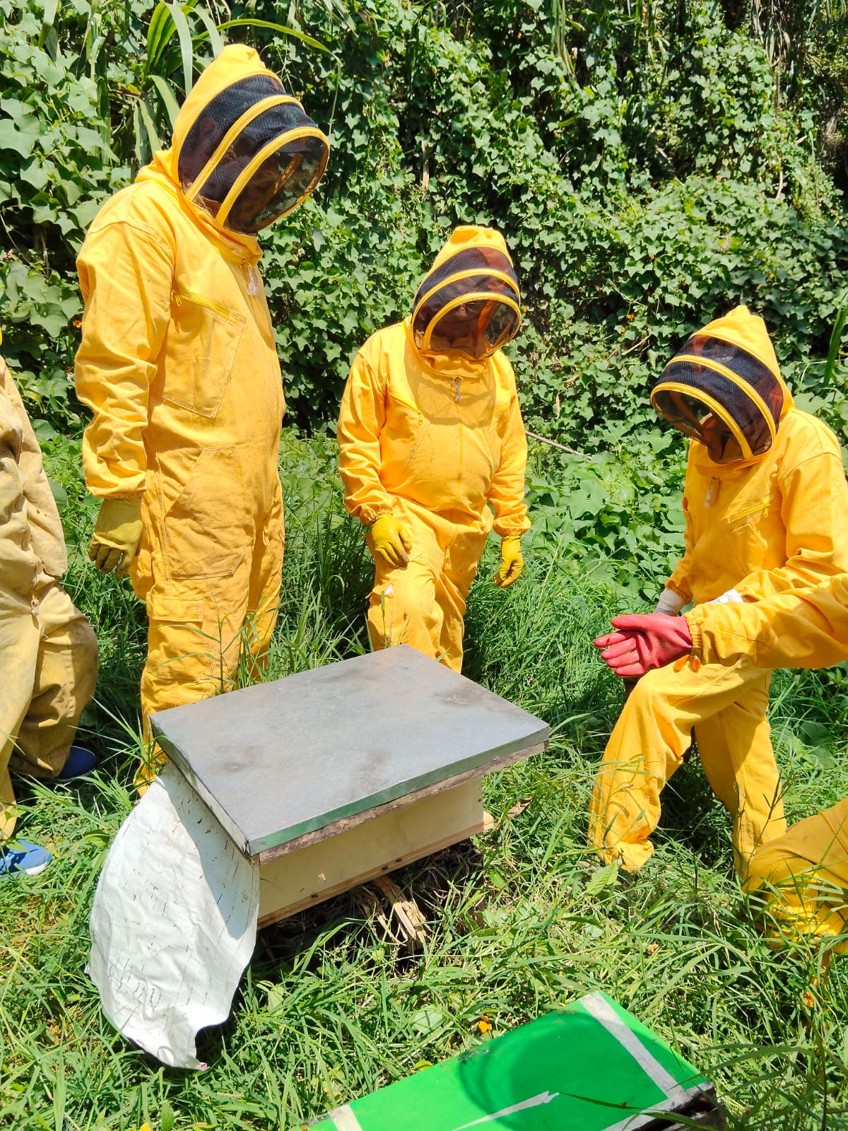 Experiencia La Abeja Mochilera p6