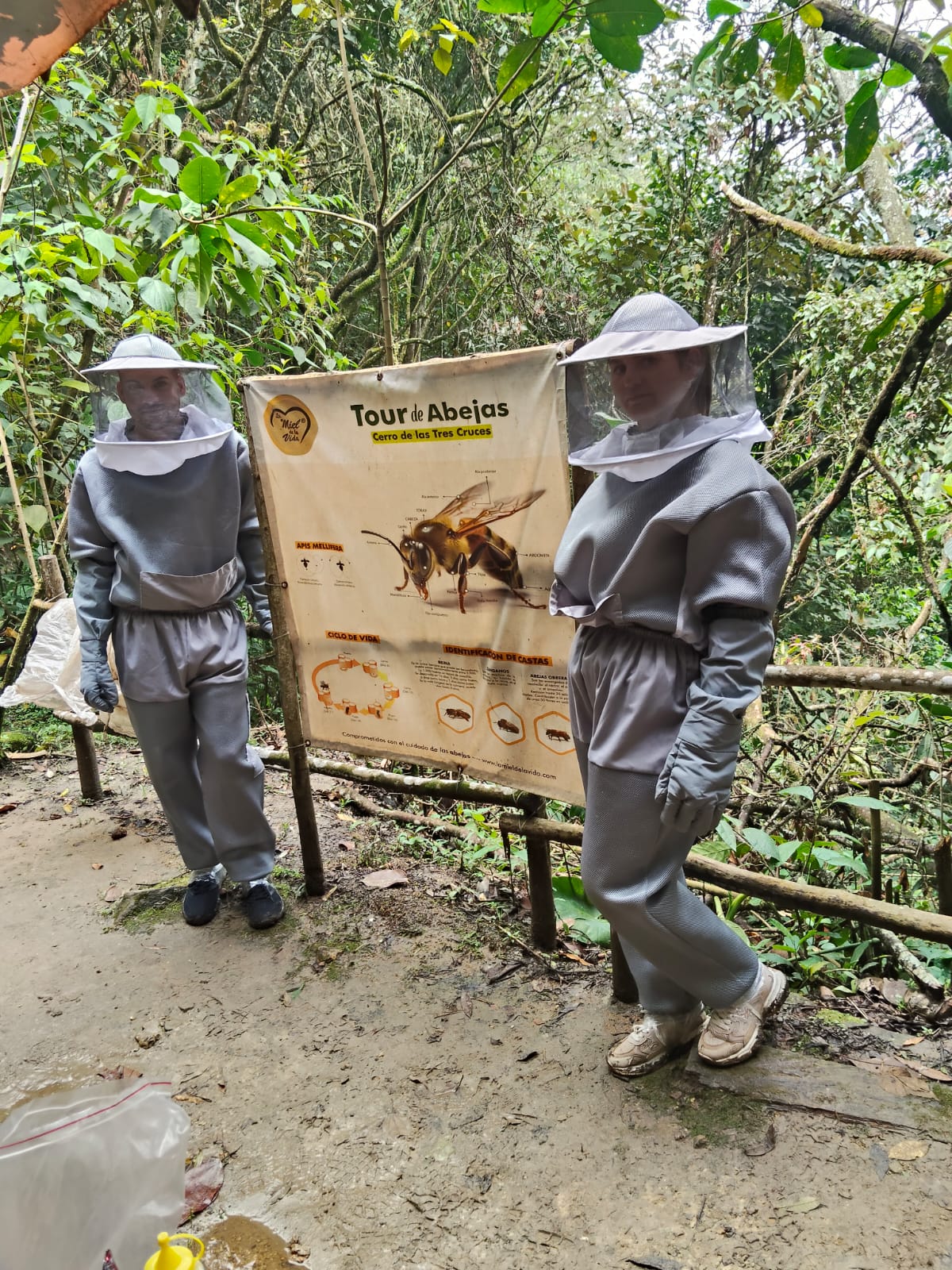 Tour de abejas 1 persona - Imagen 3